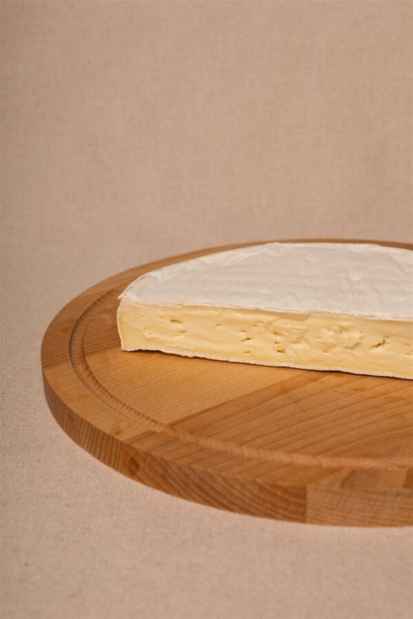 Ser francuski Camembert Rustique